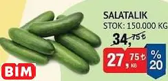 SALATALIK KG